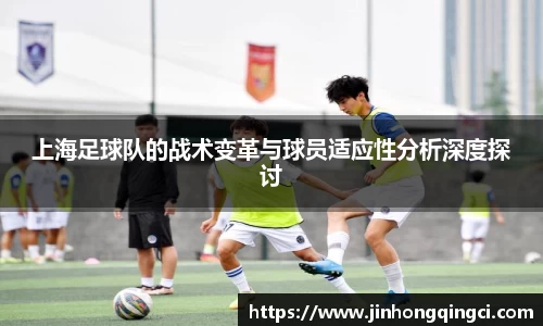 上海足球队的战术变革与球员适应性分析深度探讨